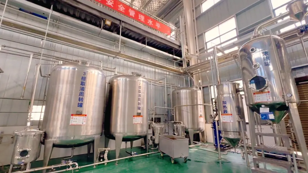 GMP certified cleanroom industrial plant extraction factory floor
